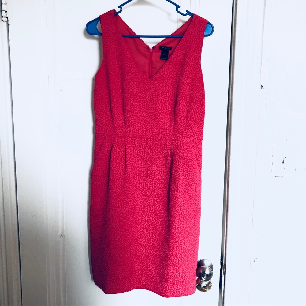 Ann Taylor dress - Picture 3 of 5